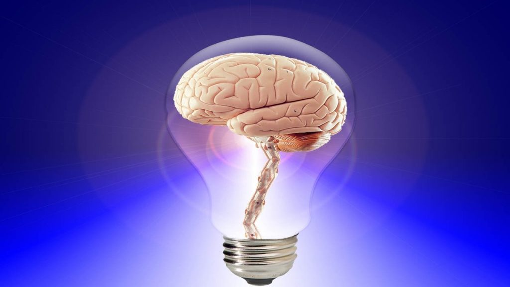 Lamp With a Young Brain - Fluid Intelligence
