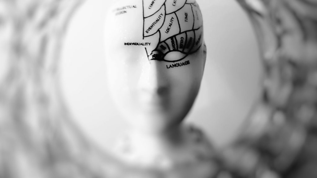 Brain - Different Types of Intelligence