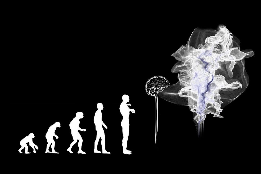 Image of the various phases of man's evolution. Intrapersonal Intelligence