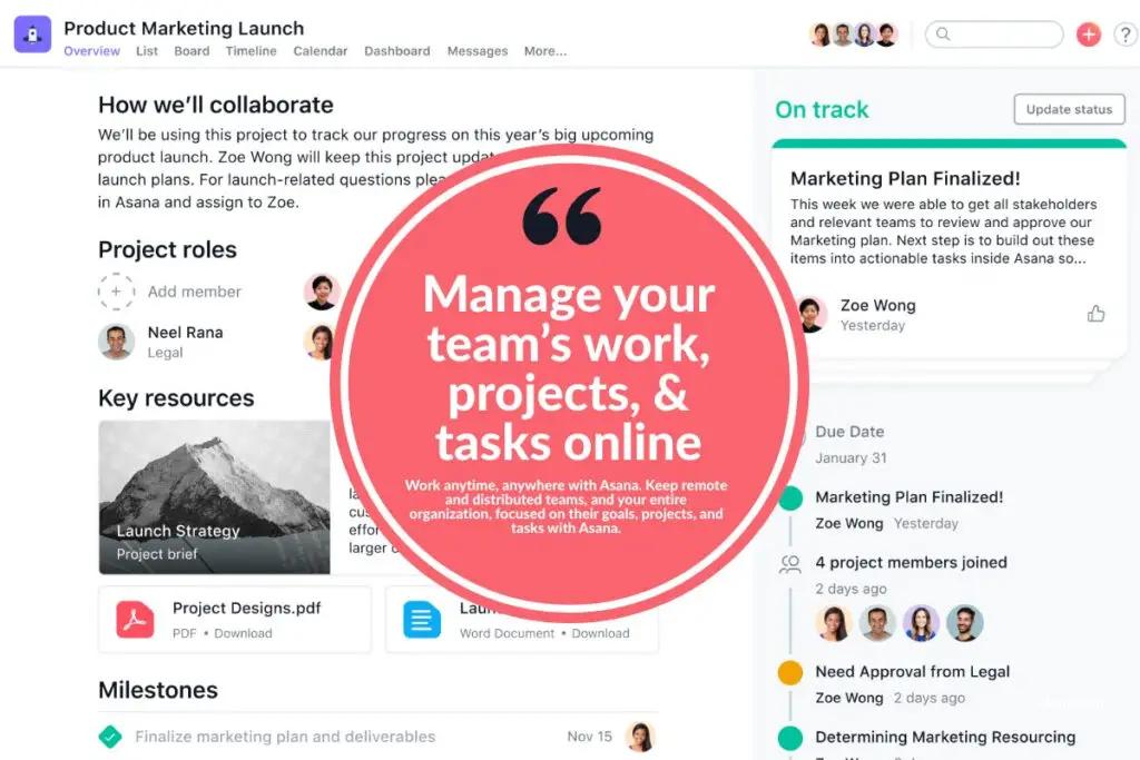 Asana Product Marketing Launch Overview