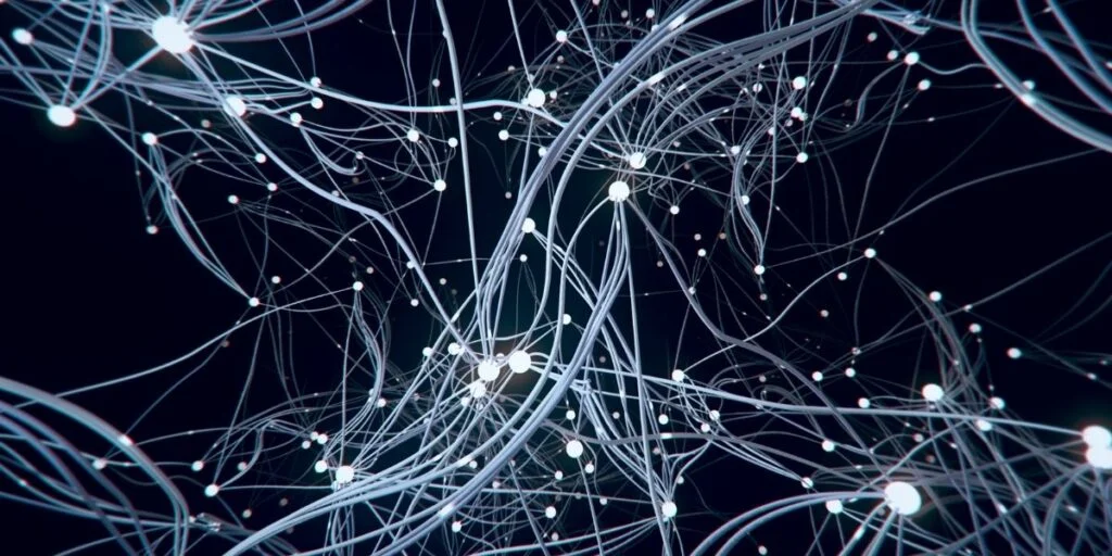What is Consumer Neuroscience? Insight into the Mind of the Shopper 1 Consumer Neuroscience