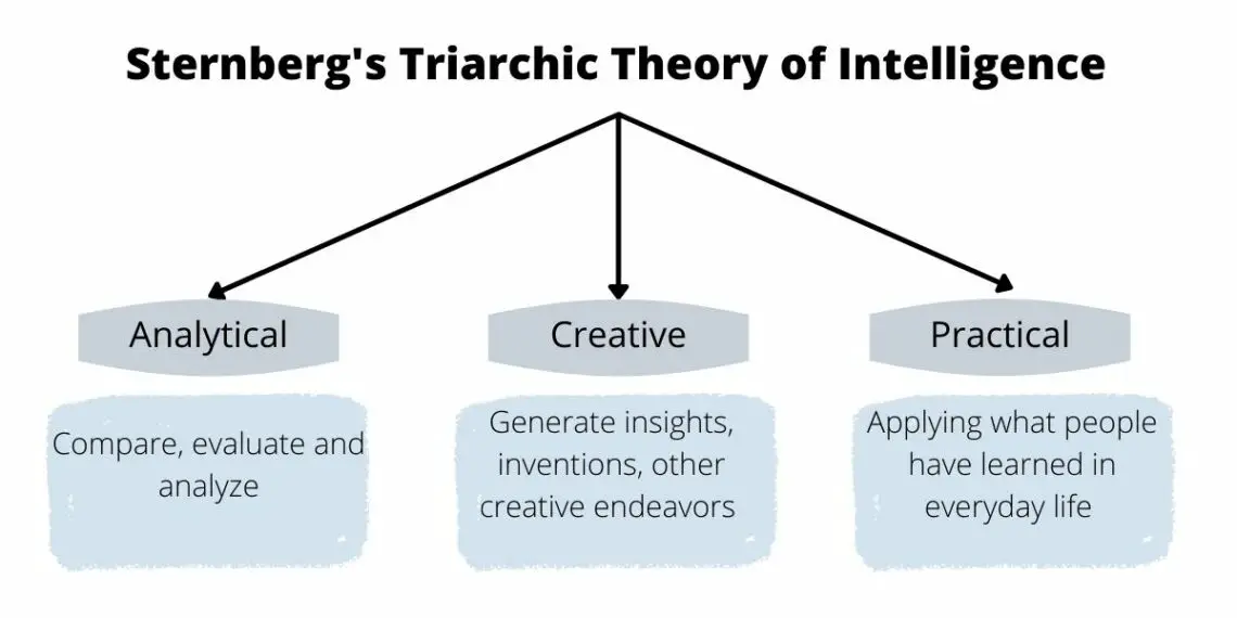 sternberg-s-triarchic-theory-of-intelligence-what-is-it-and-how-can-we