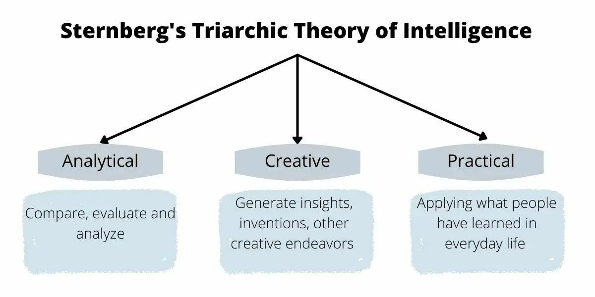 theory of intelligence assignment