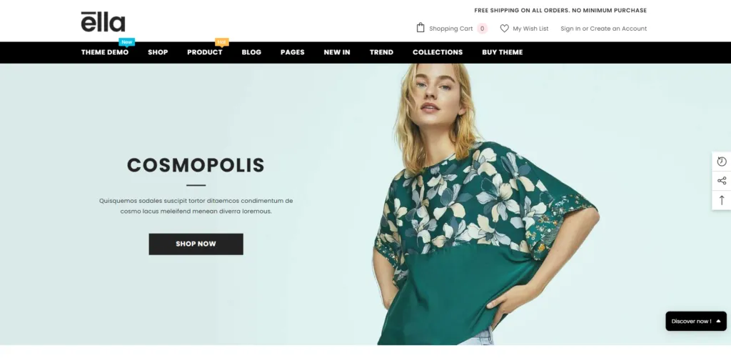 Best Shopify Themes