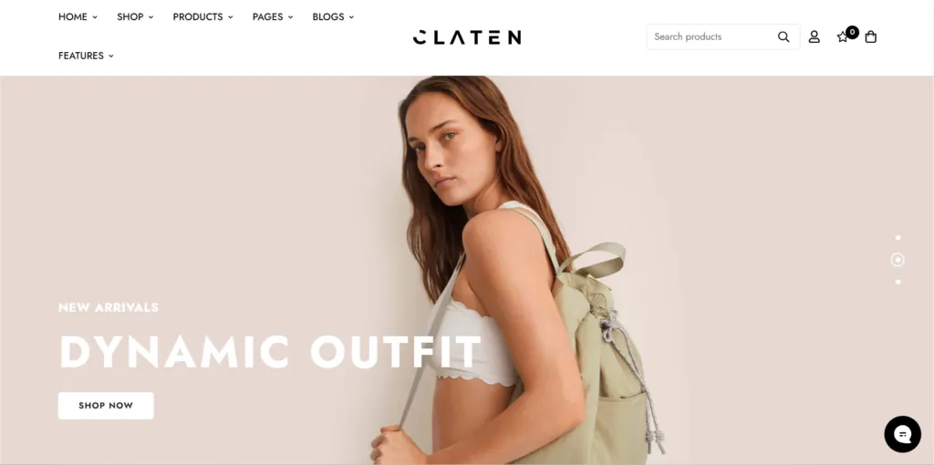 Best Shopify Themes