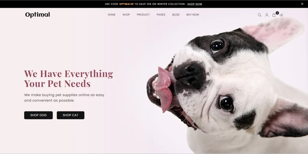 Best Shopify Themes