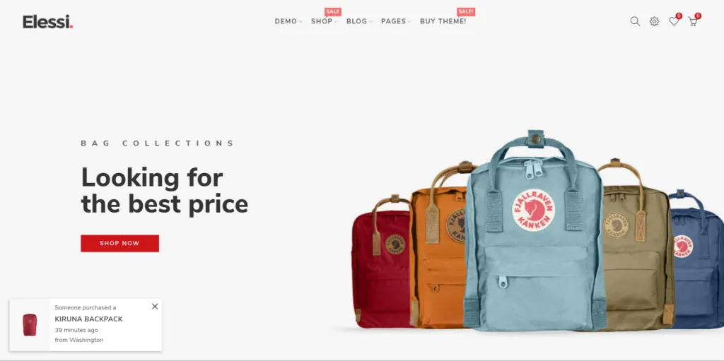 Best Shopify Themes