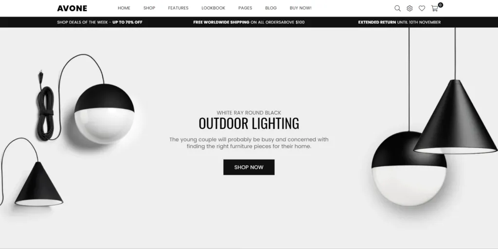 Best Shopify Themes