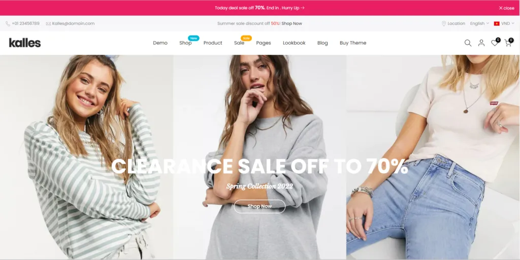 Best Shopify Themes