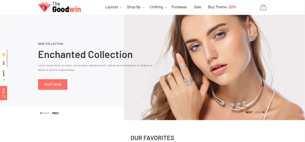 Best Shopify Themes