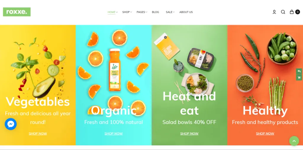 Best Shopify Themes