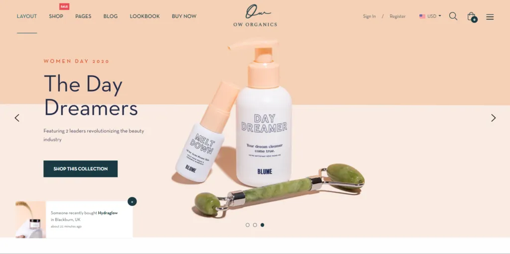 Best Shopify Themes