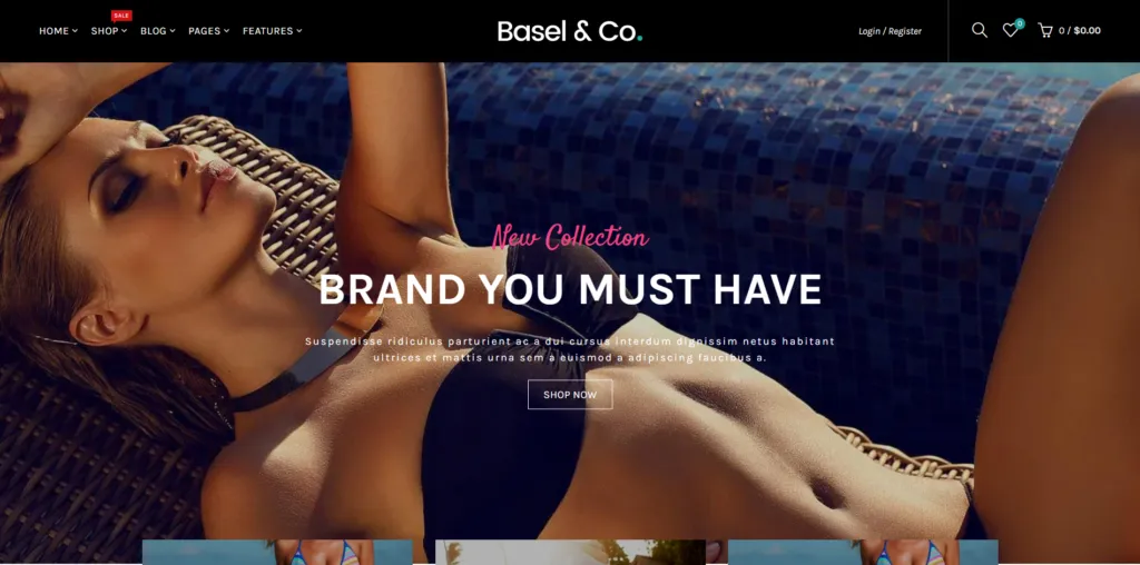 Best Shopify Themes