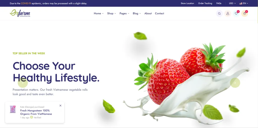 Best Shopify Themes