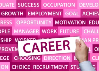 What is a Career Development Facilitator