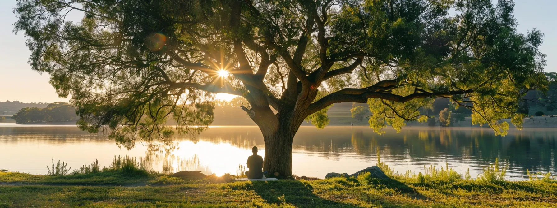 a serene setting with a person practicing mindfulness under a tree by a calm lake, surrounded by supportive friends and family members.